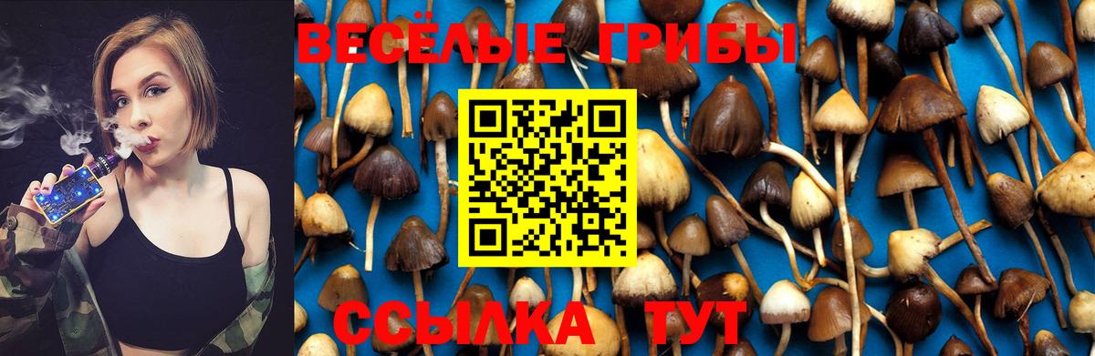 Черняховск  Галлюциногенные грибы GOLDEN TEACHER  Вход с VPN 